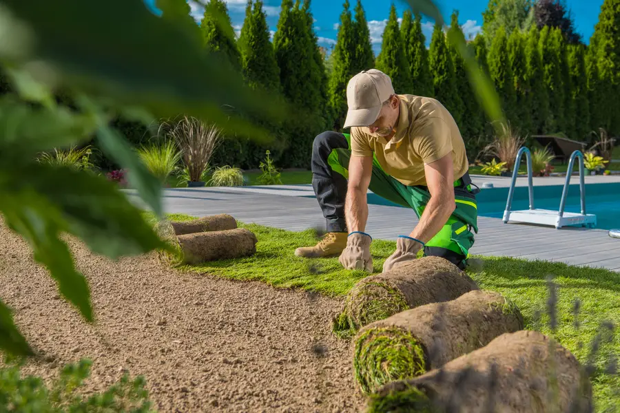 Top-rated Sod Installation Palmetto, GA